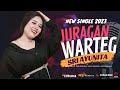 Sri ayunita  juragan warteg official music
