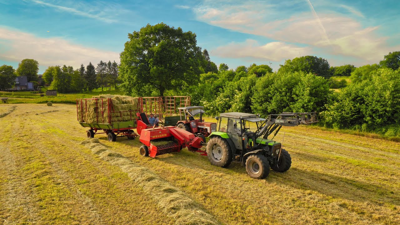 Heu Pressen 2022 in Harfe bei Holtsee / Deutz DX 3.65 mit Welger Presse / McCormick Abfahrer