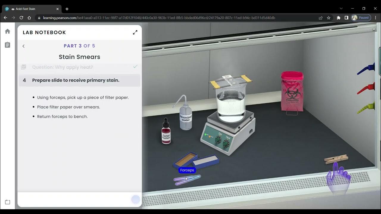 Pearson Interactive Labs AcidFast Stain YouTube