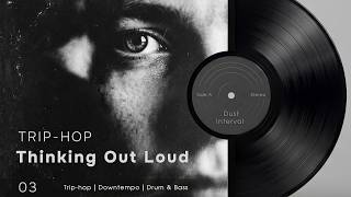Dust Interval - Thinking Out Loud [Trip-Hop] screenshot 5