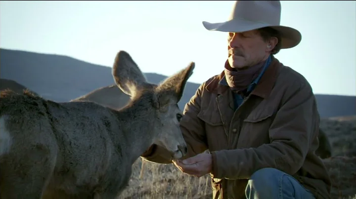 #NATURE "Touching the Wild" Special with Joe Hutto...