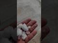 ഉപ്പ് നിറഞ്ഞ മരുഭൂമിയിലൂടെ.. 😮 #youtubeshorts #doha #shorts #shortvideo #salt #viral