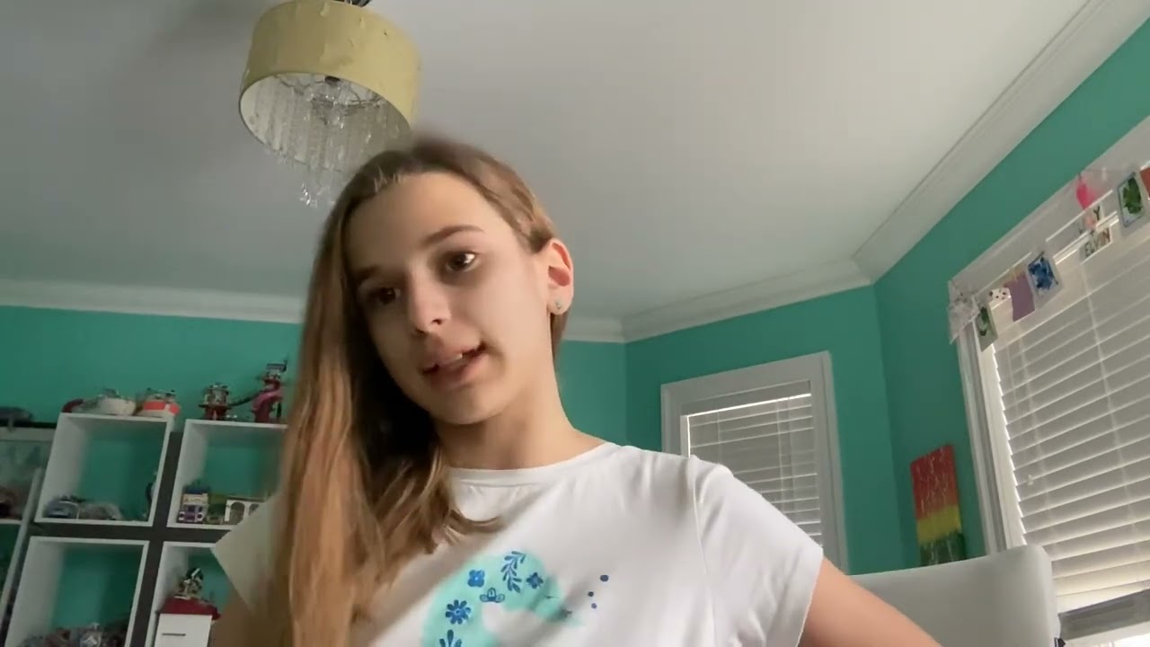 Ferret diarrhea 101 everything you need to know