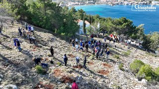 Δενδροφύτευση του &quot;Όλοι μαζί μπορούμε&quot; στα Καρδάμυλα της Χίου