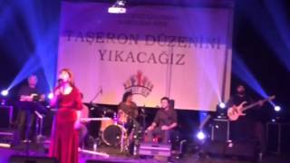 Erdi arslan