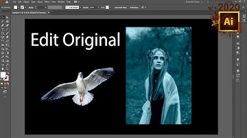 Adobe illustrator class 106 file menu edite orignal option Urdu/Hindi