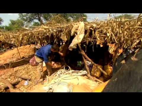 Children Mining Gold in Mali