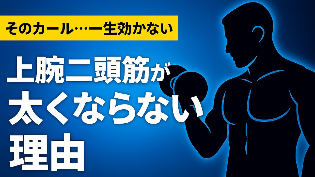 科学的に正しい上腕二頭筋の鍛え方｜3つの真実