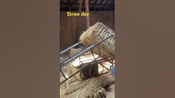 Unloading 2002 bales!! Straw 2023.