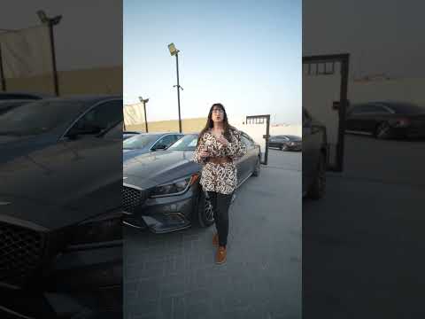 Tuesday Auction Vibes Let The Bidding Begin 