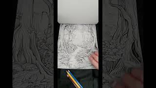 🍄 Relaxing ASMR ✨ Coloring Fantasy Forest | No Talking, Only Sounds