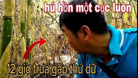 Bỏ trúm lươn chạy mất dép,,thật đáng sợ - vũ heo