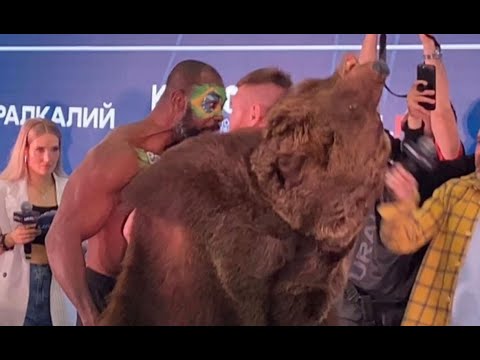 ДАЦИК в шкуре