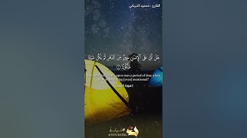 سورة الإنسان بصوت القارئ محمود الدبيكي