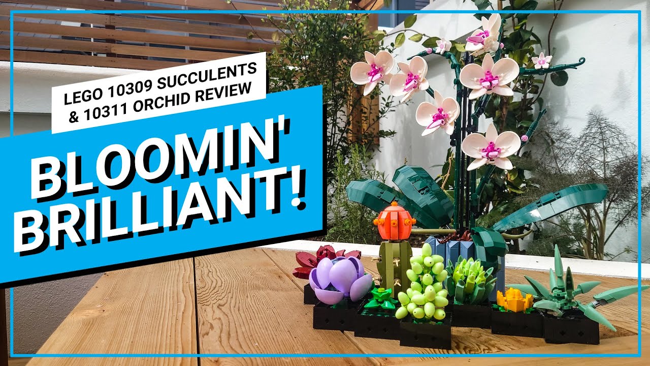 Nouveautés LEGO Botanique l'orchidée et les succulentes - Brickosophy