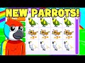 TRADING NEW THE NEW AMAZON PETS (Adopt me Update)