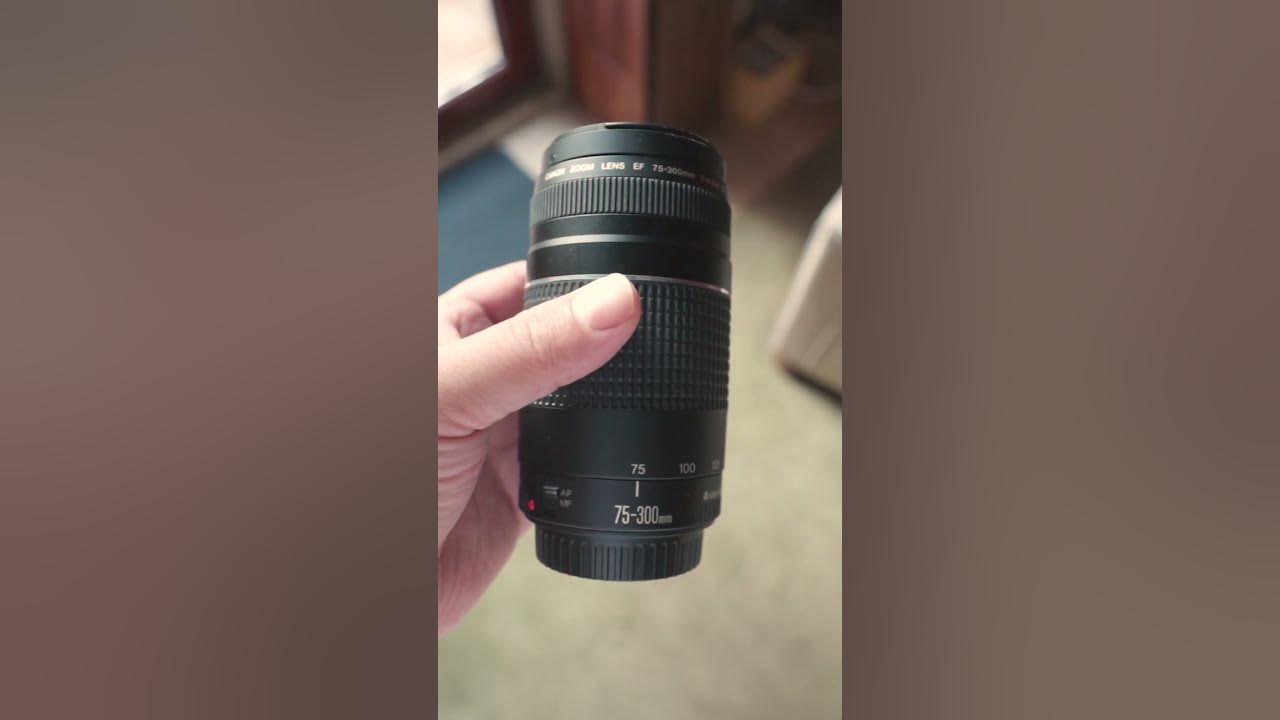 How Far Can They Zoom In Canon Ef 75 300mm Vs Ef S 18 55mm Youtube
