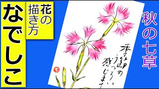 ナデシコの花の描き方│撫子│5月・6月・7月・8月・夏・秋の絵手紙【秋の七草】