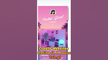 Professional Website Wordpress Wix Woocommerce Shopify Shop Store Prestashop Setup Install Build