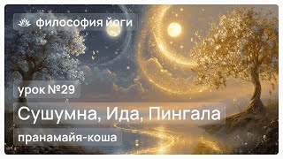 видео: Философия йоги для начинающих. Урок №29. Сушумна, Ида, Пингала картинка: Философия йоги для начинающих. Урок №29. Сушумна, Ида, Пингала