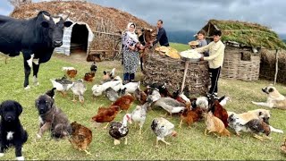 Download Lagu Amazing Mountain Cooking – Fire-Pit Feast \u0026 Homemade Organic Cheese MP3 Download Lagu Amazing Mountain Cooking – Fire-Pit Feast \u0026 Homemade Organic Cheese MP3