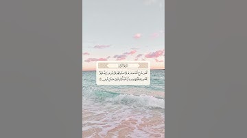 سورة الزمر /الآية ٢٢ / ماهر المعيقلي
