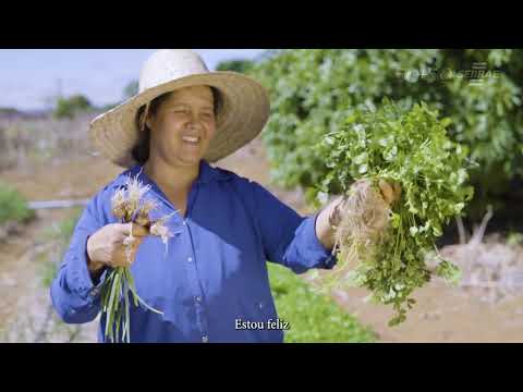 Agronordeste Irecê 2022 - Sebrae