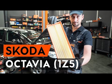 Video: Jak vyměnit vzduchový filtr: 11 kroků (s obrázky)