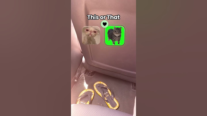 u ii a #cat #meme #funny #roblox #uiia