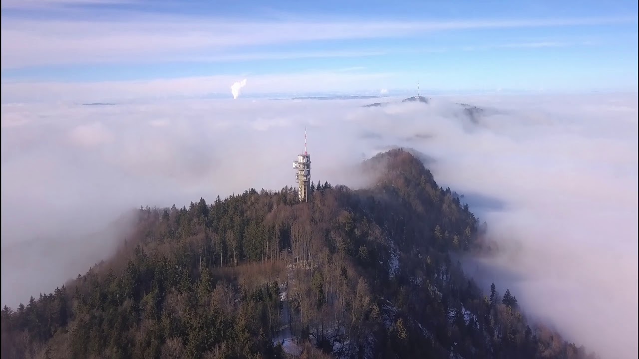 Foggy day in Üetliberg, Zurich, Switzerland