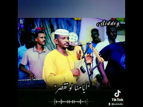 اغنية عبدالله علي ود دار الزين 2023 فديوهات واتساب حالات