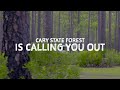 We&#39;re Calling You Out to Cary State Forest
