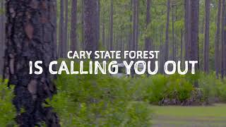 We&#39;re Calling You Out to Cary State Forest