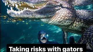 Taking risks with gators