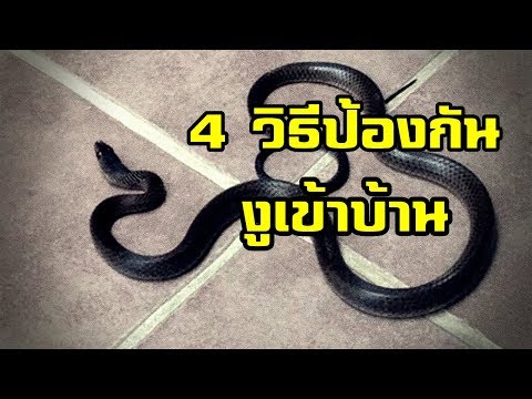 วีดีโอ: 6 วิธีฉีดสัตว์เลี้ยงในฟาร์ม