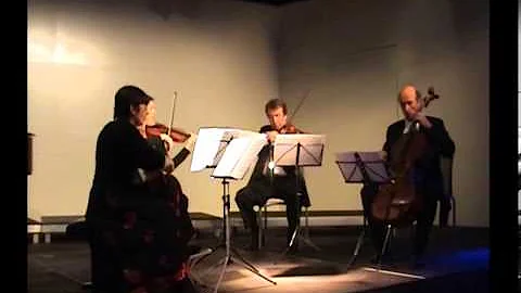 Mara Isabel Siewers - F. J. Haydn Quartett, Allegr...
