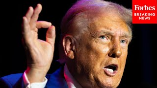 Celebrity 'It Will Be Easy': Trump Claims His Energy Policies Will Lower Energy Costs By 50% Within 12 Months Wealth