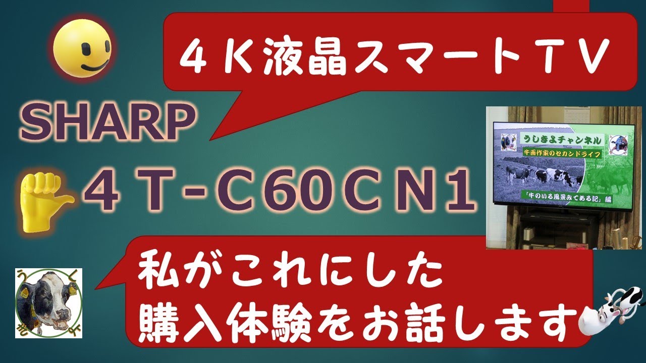 SHARP 4T-C60CN1】4K液晶スマートTVの購入体験 - YouTube