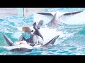 『鴨川シーワールド』シャチパフォーマンス♪(2020/06/30) 14:00~(再UP版)
