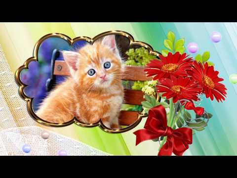 Бесплатный фотозаменяемый проект к дню рождения