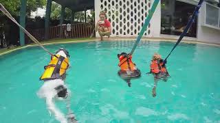 What Is the Best Material for Pool Screens in Cape Coral? Expert Advice From All Screening of SWFL