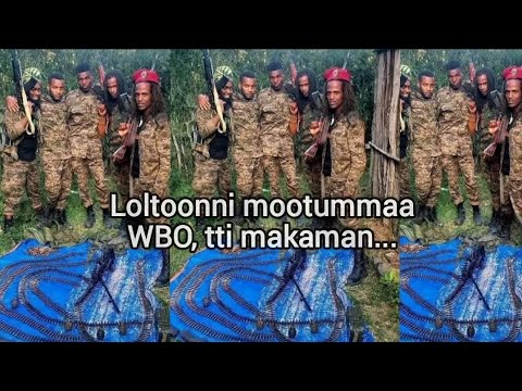 RIB WBO Tti Makamaa Jira