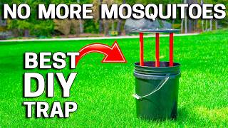 Mosquito Spraying is Expensive.  Do This Instead!