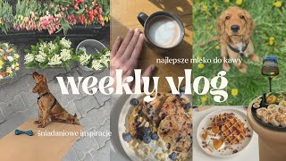 weekly | śniadaniowe inspiracje • najlepsze mleko do kawy☕️🐻🎀