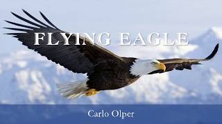 Carlo Olper - 2015 - Flying Eagle