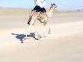 يوم الختامي ويوم الناس ملتمه mp3