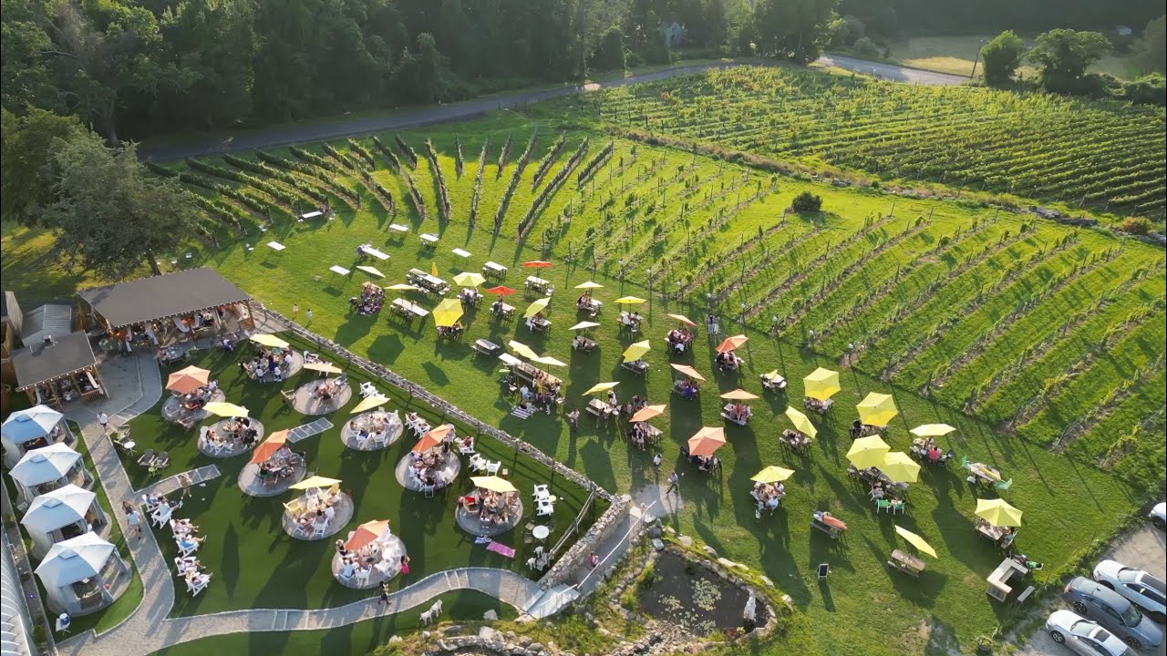 Summer Days at Aquila's Nest Vineyards