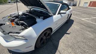 2014 MUSTANG GT CALIFORNIA SPECIAL CONV - June 18 Online Classic Car Auction  ccpauctions.hibid.com