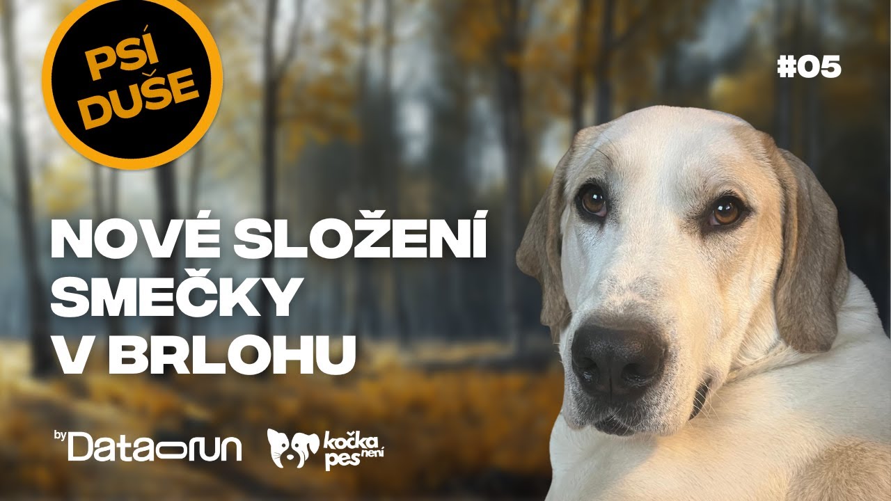 Boris je tvrďák, který vychovává vlčice | Psí duše #05