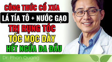 Lá Tía Tô & Nước Vo Gạo: Trị RỤNG TÓC, MỌC Tóc DÀY, Nhanh, Hết Ngứa Da Đầu | Dr Phan Quang